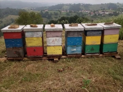 U prirodi je lijek za sve: Kako Gerzići pčelama i biljem liječe razne boljke