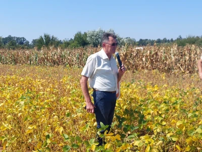 U Semberiji se očekuju dobri prinosi kukuruza i soje