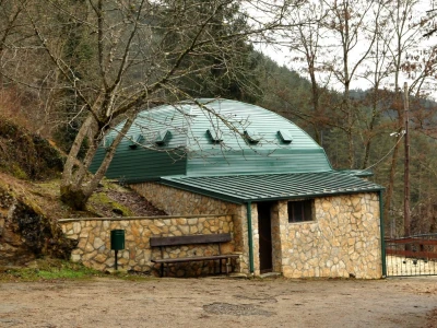 U višegradskoj banji raste endemska paprat vilina vlas