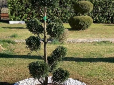 Uređenje vrtova Posušje