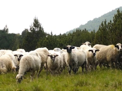 Uspješno završen 6. HIGHLANDER Blidinje