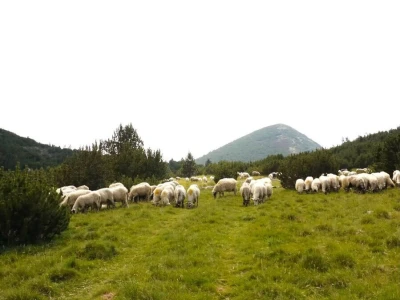 Uspješno završen 6. HIGHLANDER Blidinje