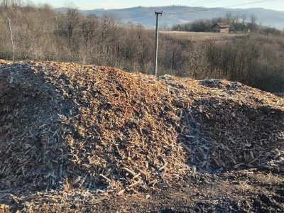 Uzgoj borovnica
