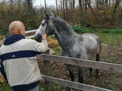 Uzgoj konja i jahanje čuvaju od zaborava