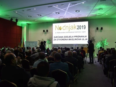 Večer šampiona otvorenih ulja, Noćnjak 2019
