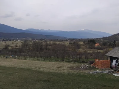 Vegetacija šljiva u petrovačkoj opštini