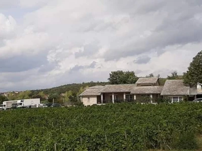 VINA ZADRO