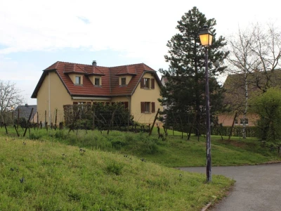 Vinarija Horscher, regija D