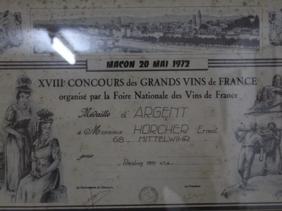 Vinarija Horscher, regija D