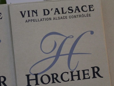 Vinarija Horscher, regija D