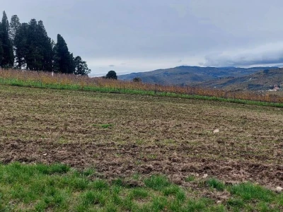Vinarija u Toskani