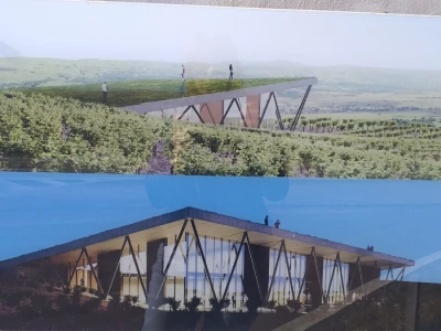 Vinograd "Knebu" na 900 mnv u Tomislavgradu