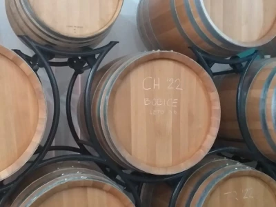 Vinograd "Knebu" na 900 mnv u Tomislavgradu