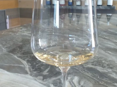 Vinograd "Knebu" na 900 mnv u Tomislavgradu