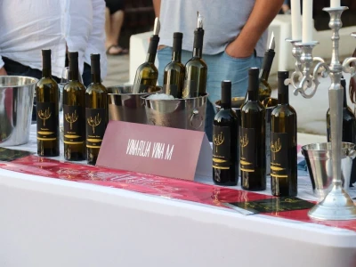Vinski trg u Derventi