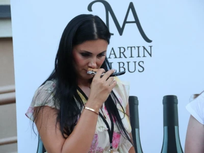 Vinski trg u Derventi