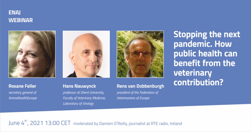 Panelisti