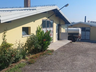 Voćnjak krušaka Dejana Popovića