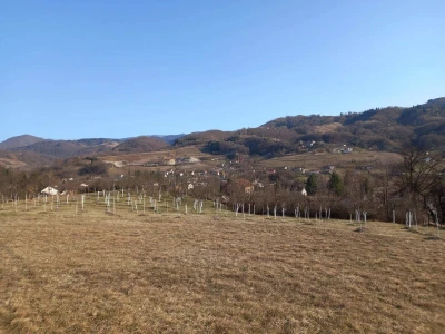 Voćnjak Željka Bubića