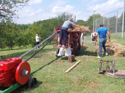 Vršidba pšenice u  Donjoj Lupljanici