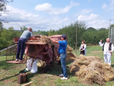Vršidba pšenice u  Donjoj Lupljanici