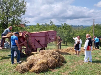 Vršidba pšenice u  Donjoj Lupljanici