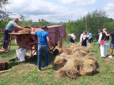 Vršidba pšenice u  Donjoj Lupljanici