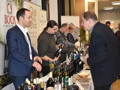 WineOS 2019 - Osijek Wine Fest - 1. dan