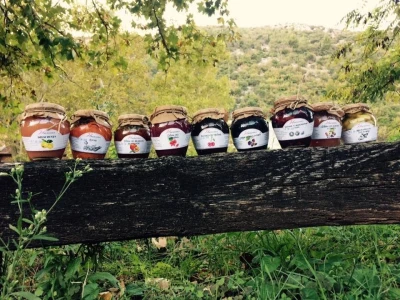Zadruga "Hercegovka"- Snaga žena iz Stoca