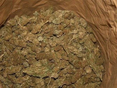 Zaplijenjena marihuana