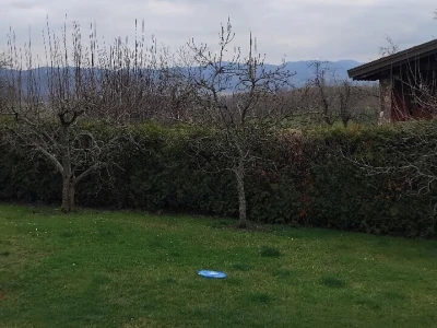Zasad Đorđa Milanovića u Popovcu