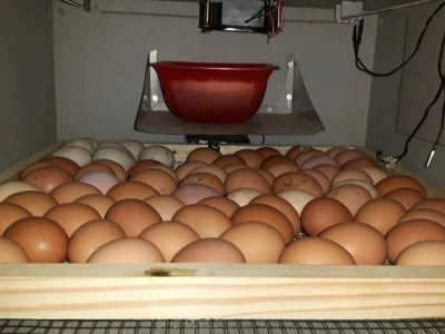 Zbog kćerke Marise smo se okrenuli poljoprivredi i nismo se pokajali