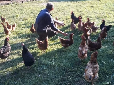 Zbog kćerke Marise smo se okrenuli poljoprivredi i nismo se pokajali