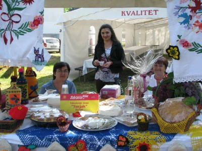 Zdravofest
