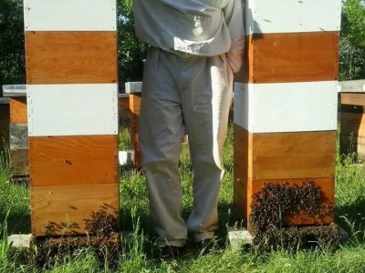 Željko Bajović