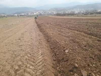 Zemljoradnička zadruga "AT" podiže plantažu lješnika