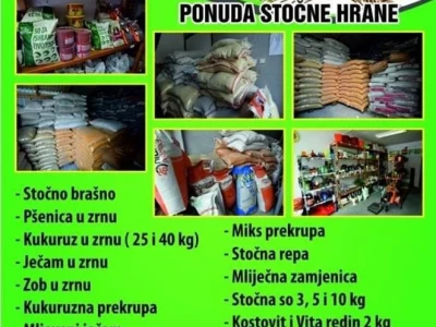 Zemljoradnička zadruga "AT" podiže plantažu lješnika
