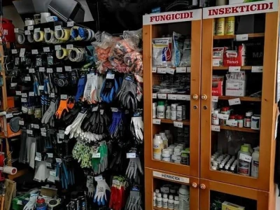 Zemljoradnička zadruga "AT" podiže plantažu lješnika