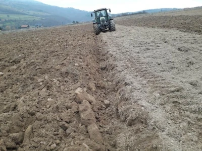 Zemljoradnička zadruga "AT" podiže plantažu lješnika
