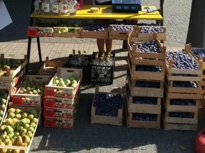 Žena, majka, kraljica voćnjaka