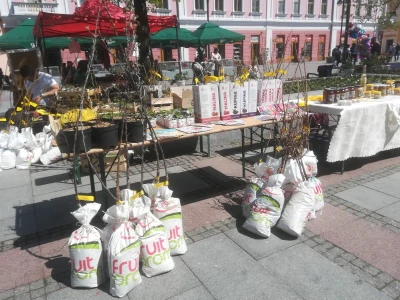 "Ženski bazar"