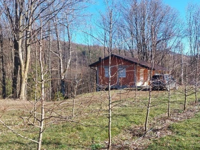 Zimska rezidba krušaka