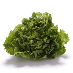 Endivija