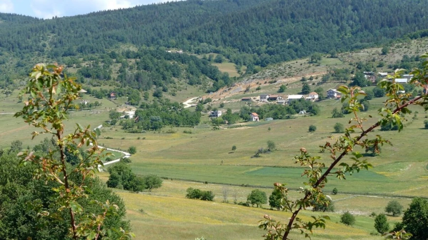 Borike