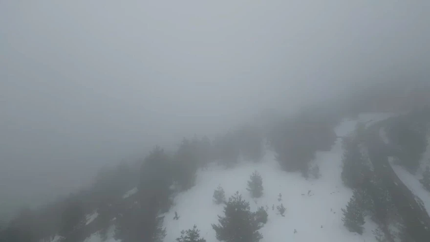 Lovci se rado vračaju na Ozren