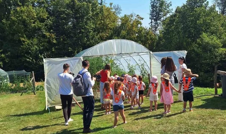 plastenik na gazdinstvu