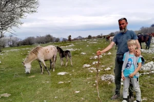 Agentic AI bi mogao zamijeniti sto kriznih štabova: Je li bh. poljoprivreda spremna?