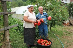 Sandžići sve prodaju do pred kraj jeseni - sve na kućnom pragu