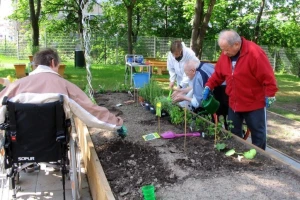 Bečko baštovanstvo iza ćoška spriječava komšijske nesuglasice
