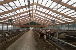 Troškovi ishrane muznih krava sve su veći problem - kako uštediti?